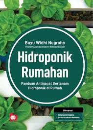 Hidroponik rumahan