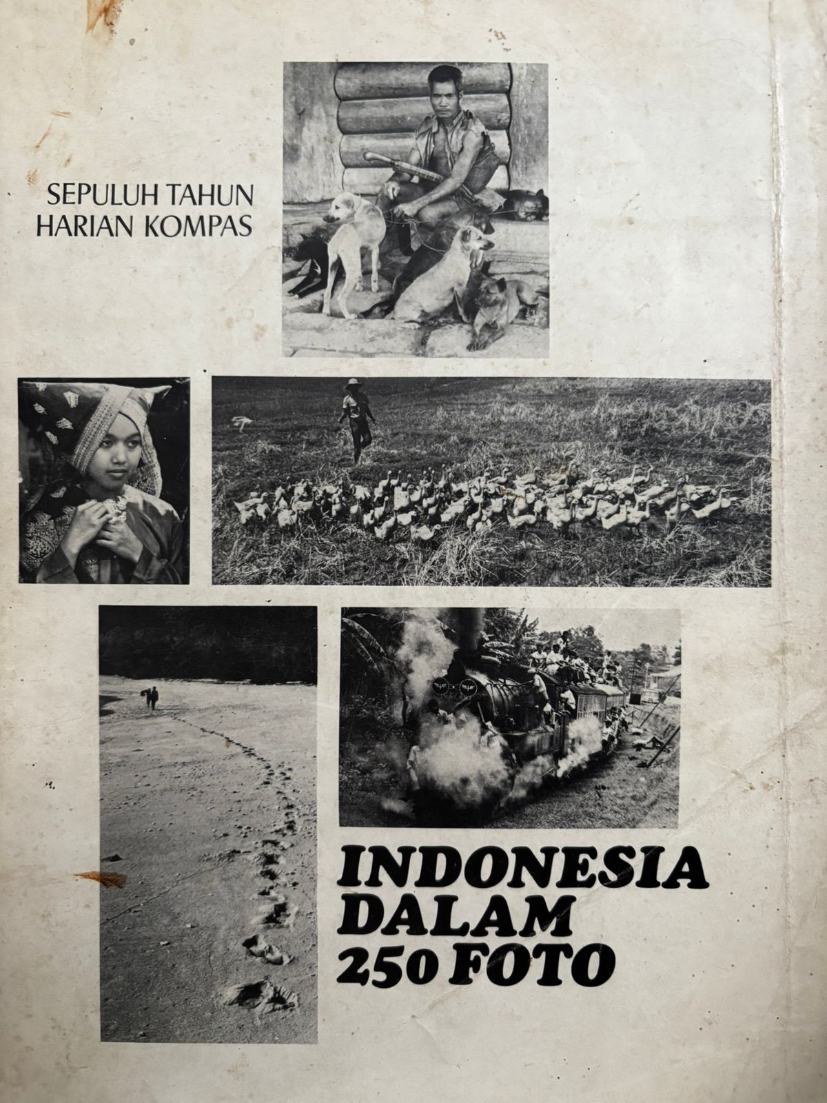 Indonesia dalam 250 Foto : Sepuluh Tahun Harian Kompas