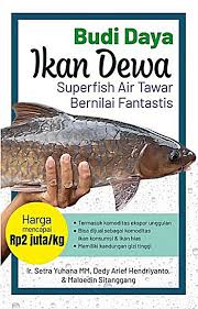 Budi daya Ikan Dewa : Seuperfish air tawar, bernilai fantastis