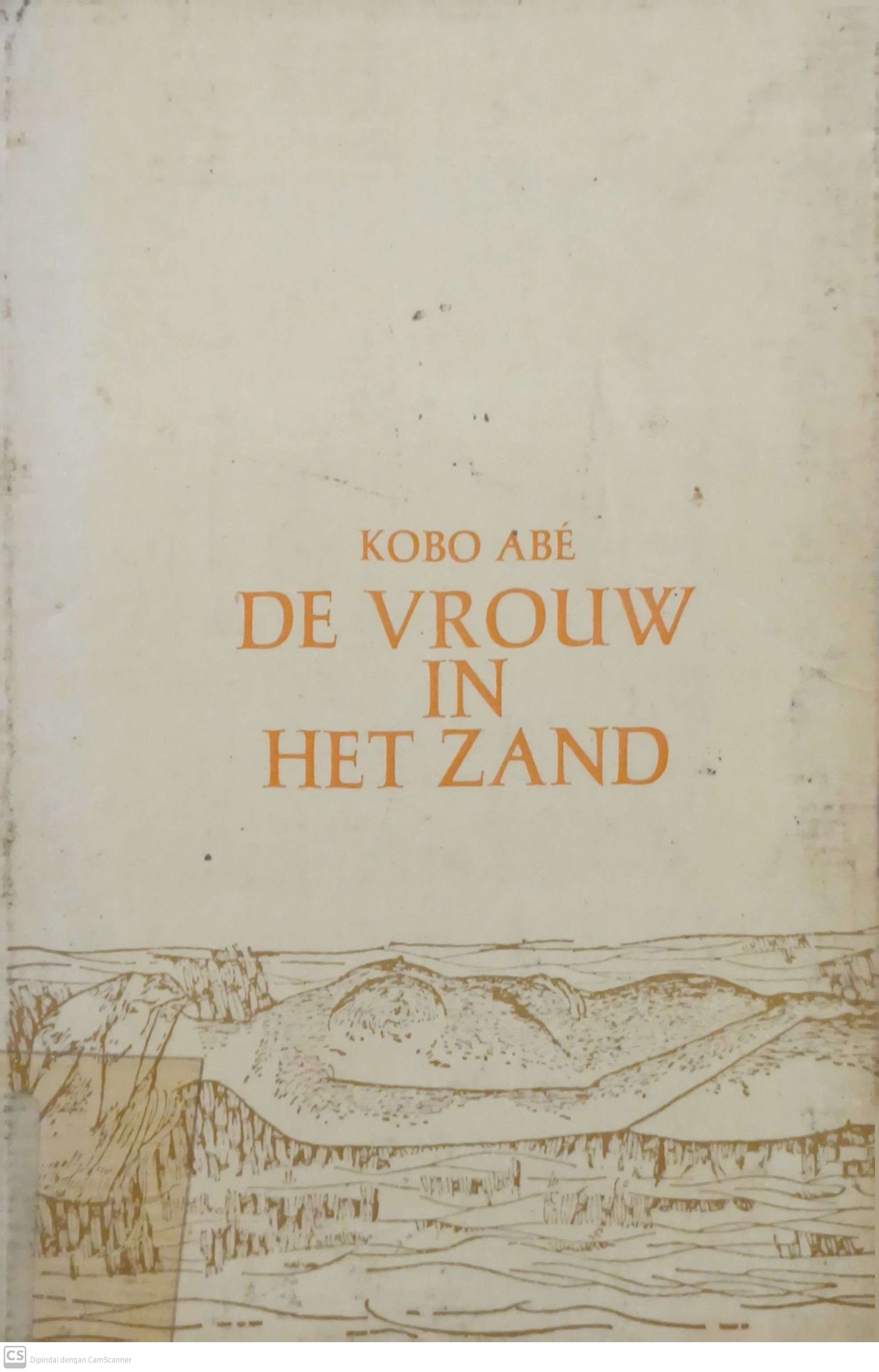 De Vrouw In Het Zand