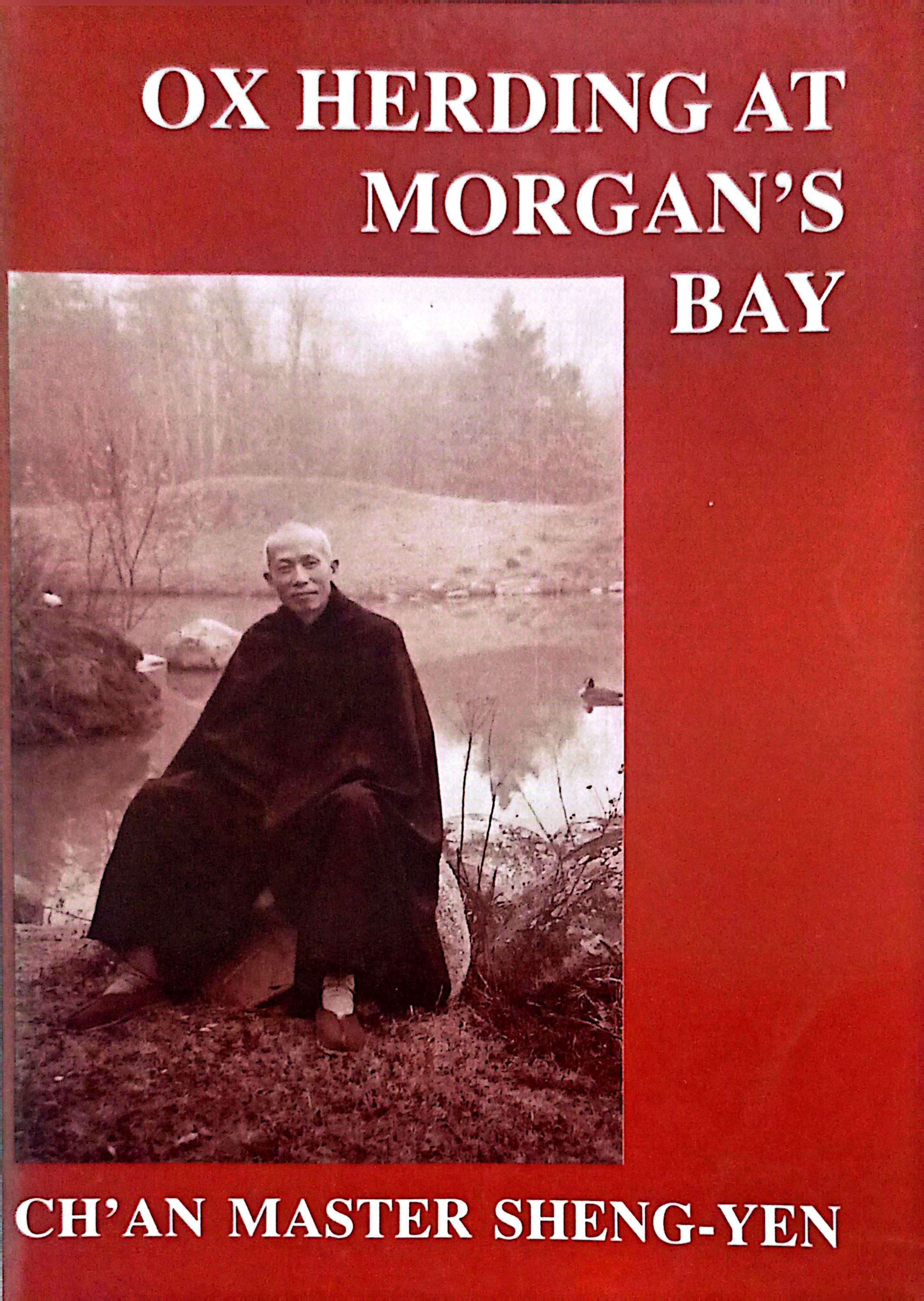 Ox Herding At Morgan's Bay