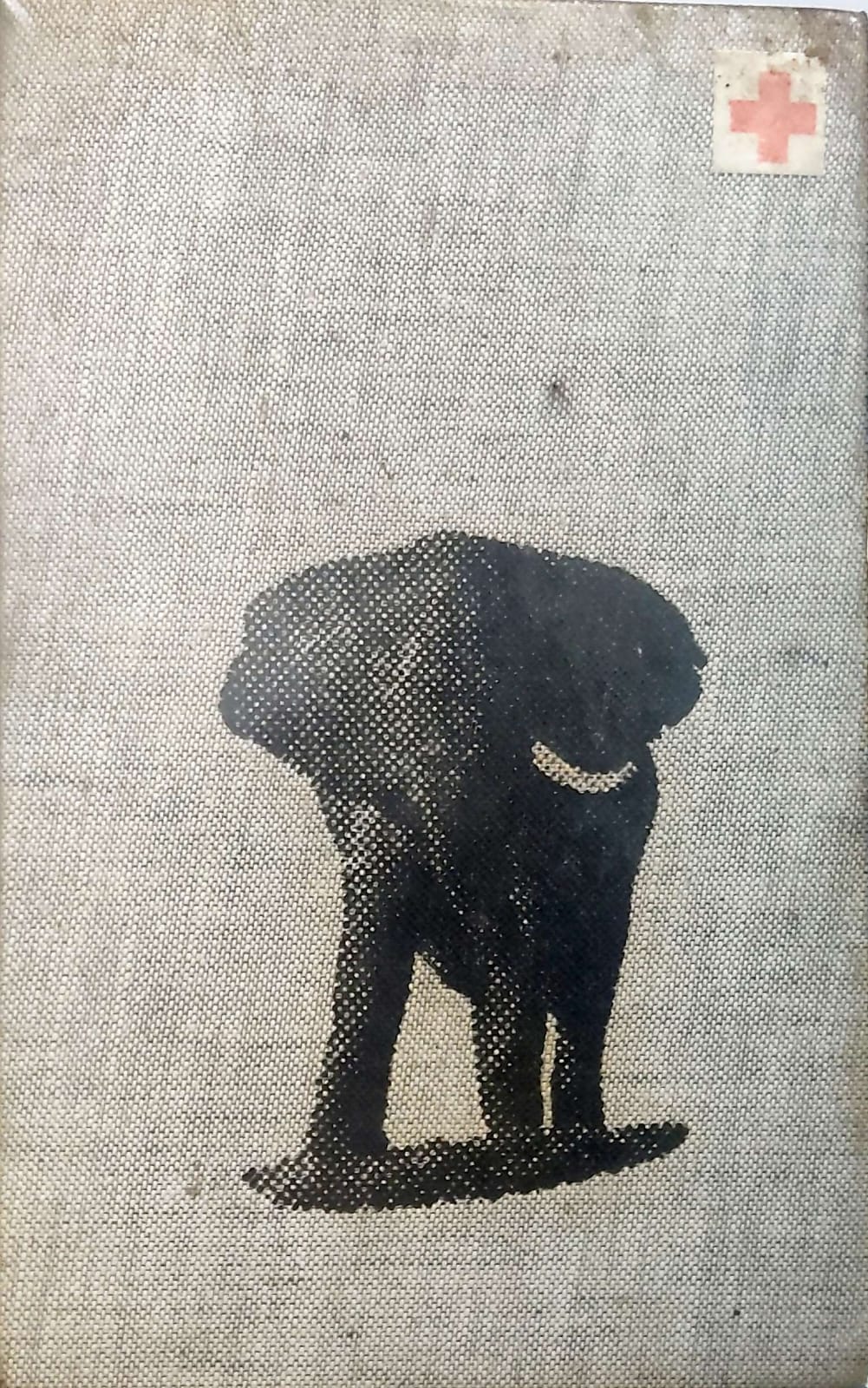 Koddebeire Tussen Olifanten