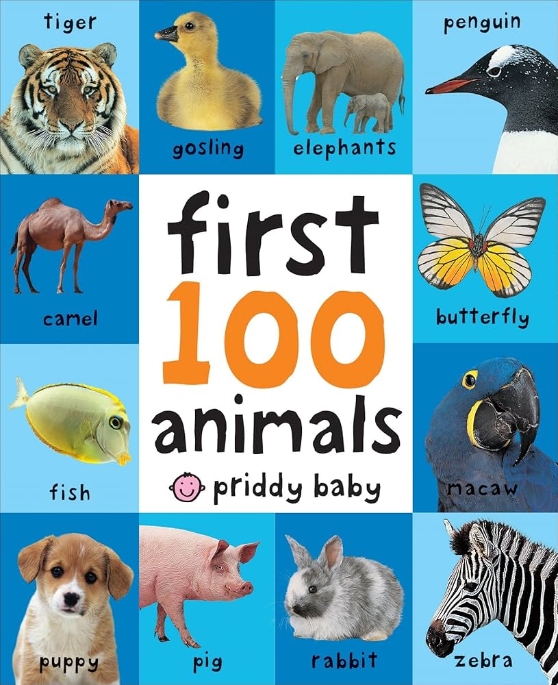 Firts 100 animal
