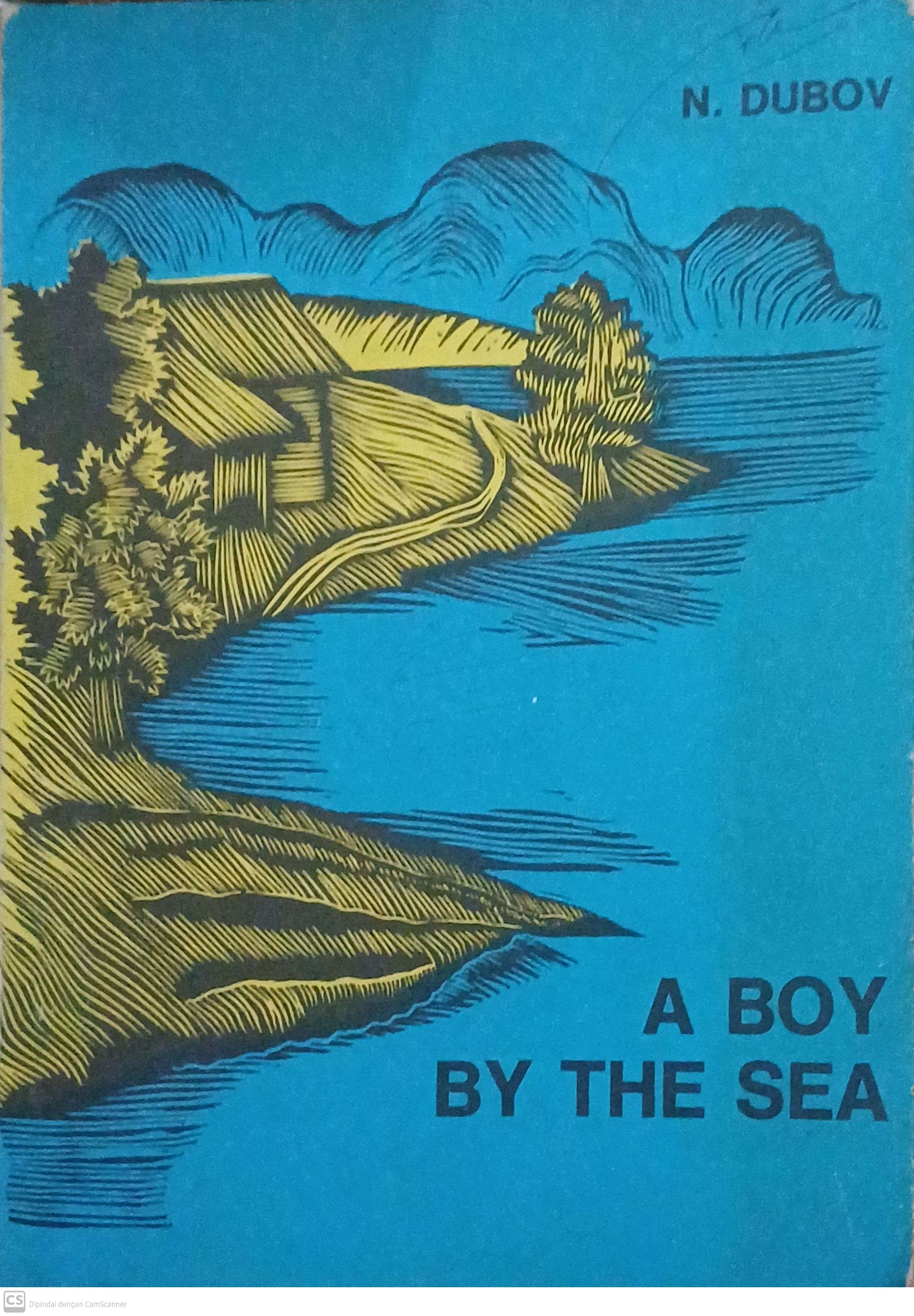 A boy by the sea