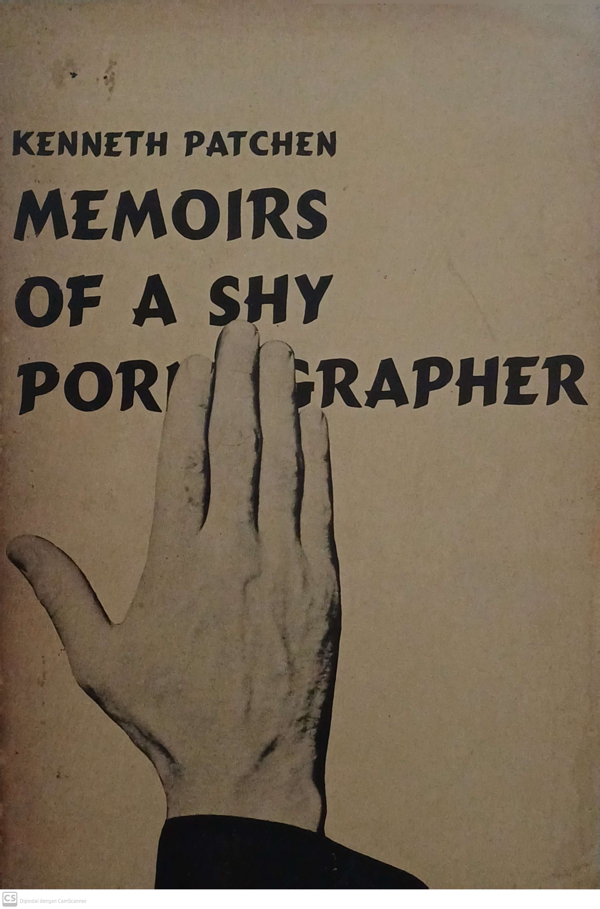 Memoirs of a shy pornographer