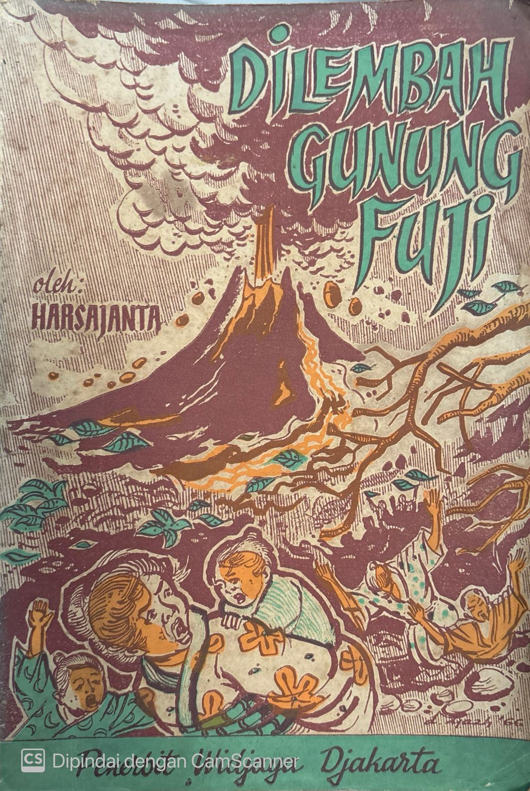 Dilembah Gunung Fuji