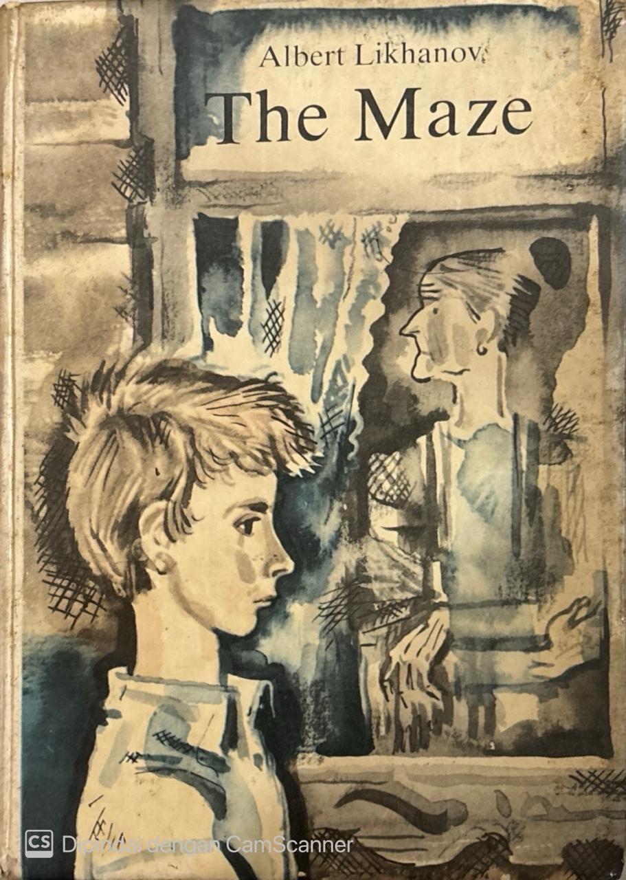 The maze : A story about boys