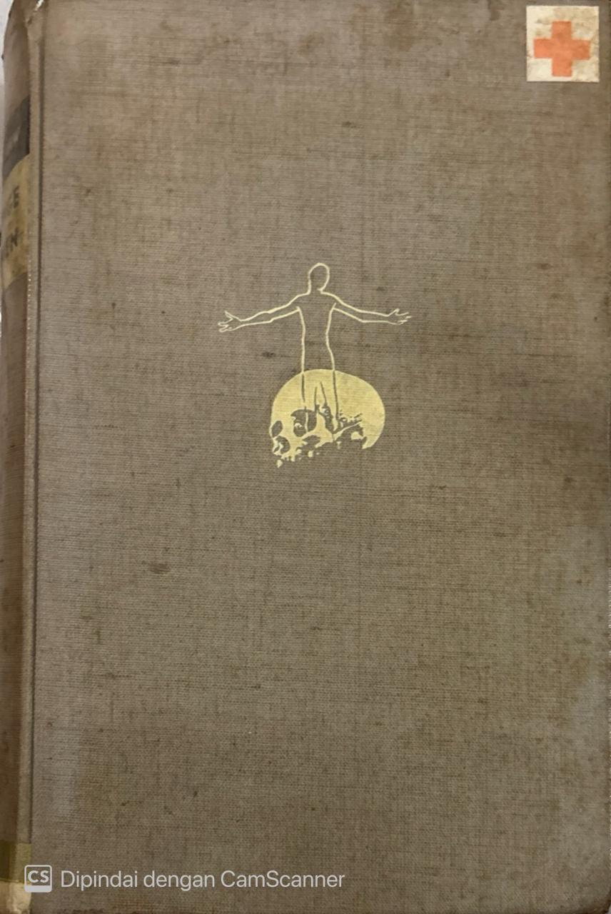 De jonge leeuwen