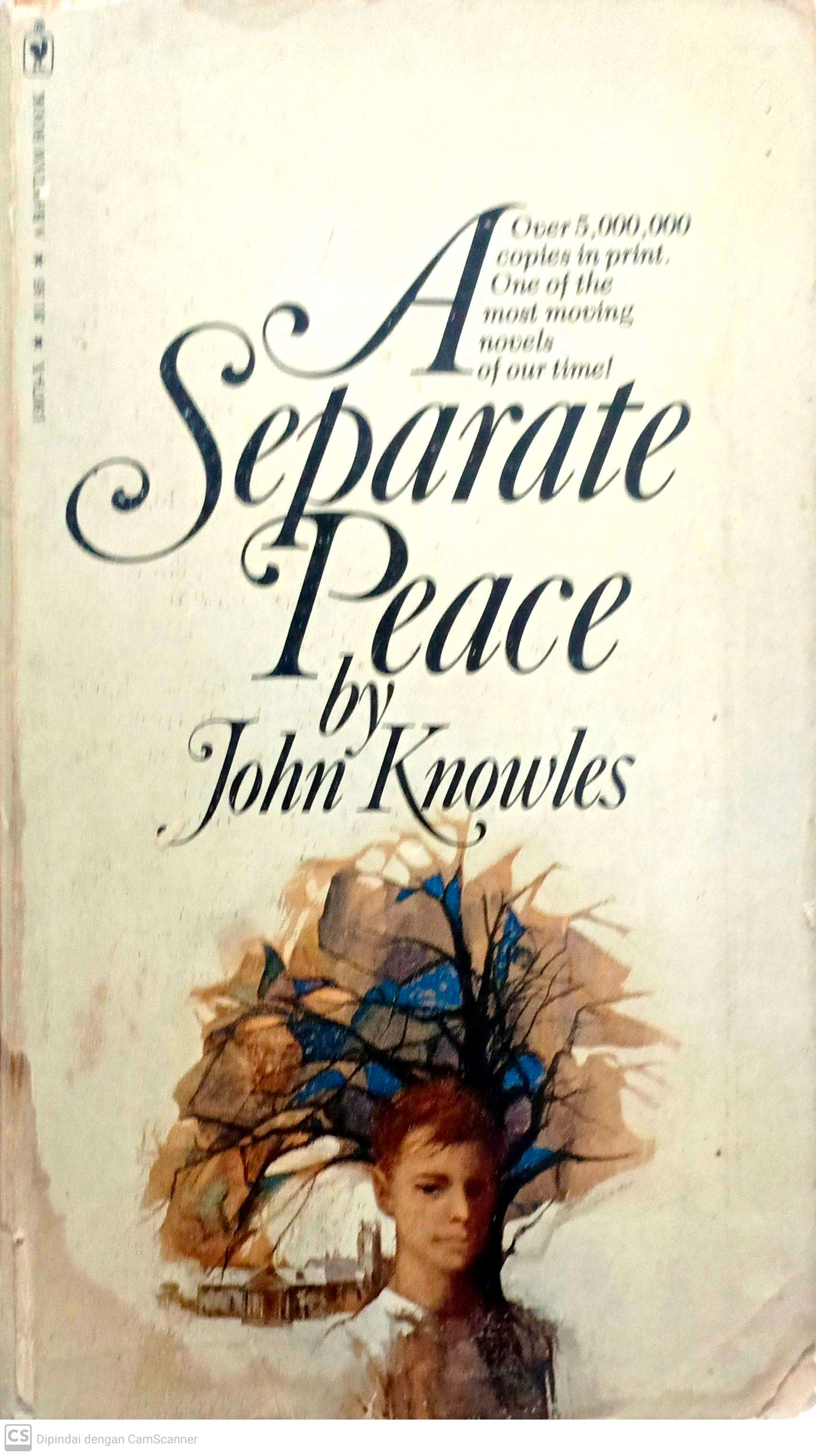 A Separate Peace