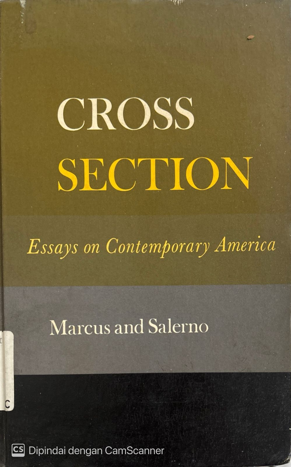 Cross section : Essays on contemporary America