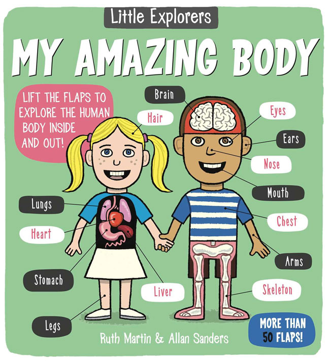 Little explorers my amazing body