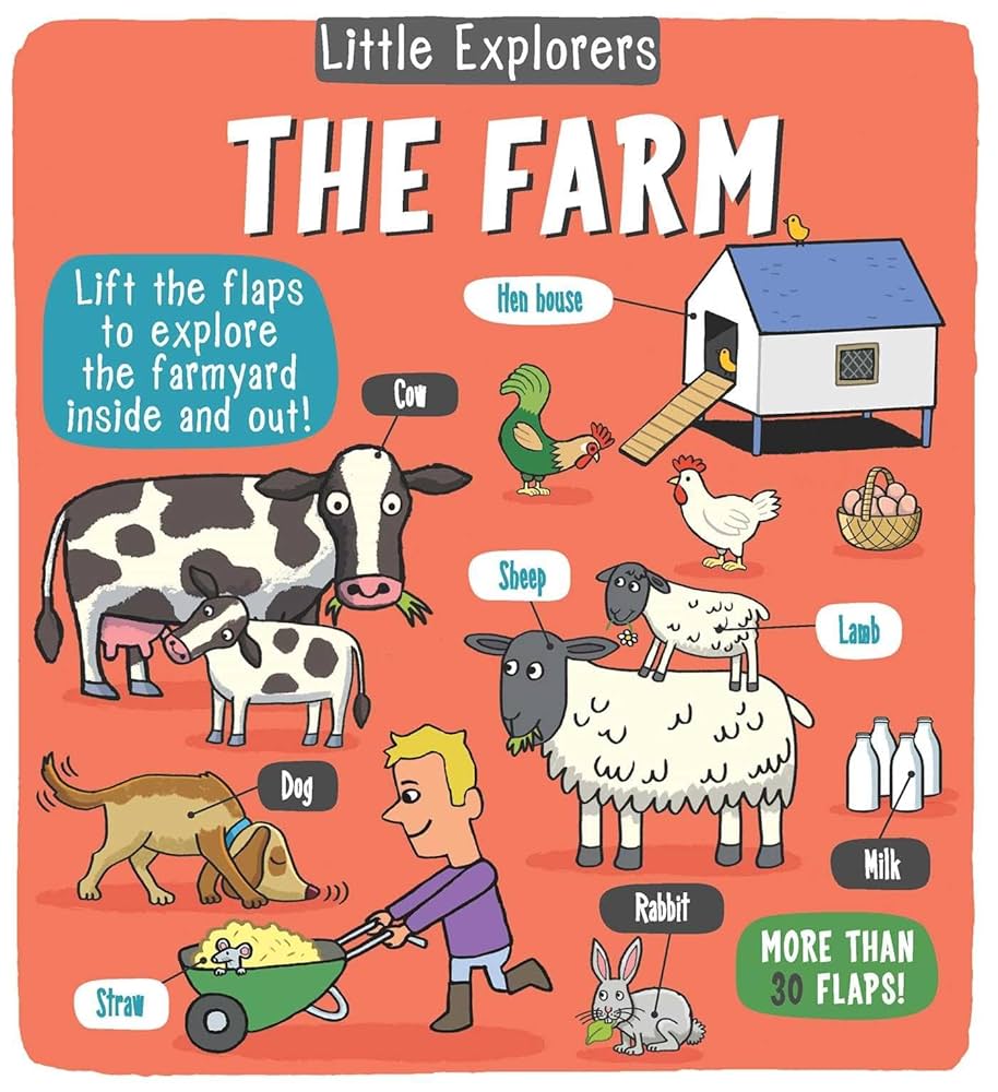 Little explorers the farm