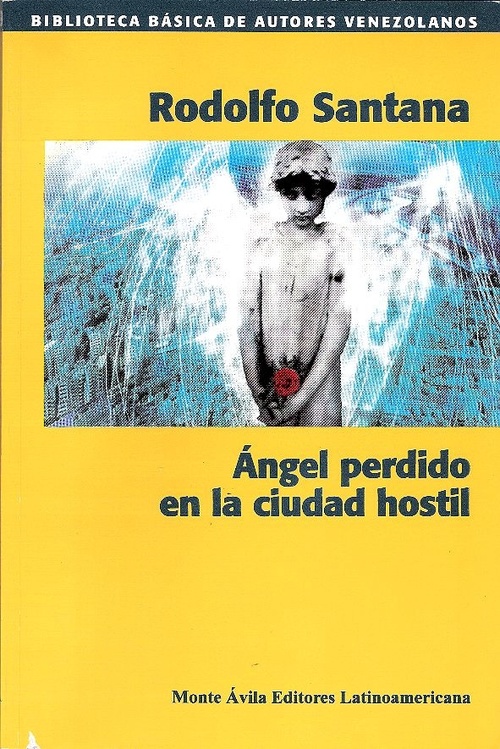 Angel perdido en la ciudad hostil