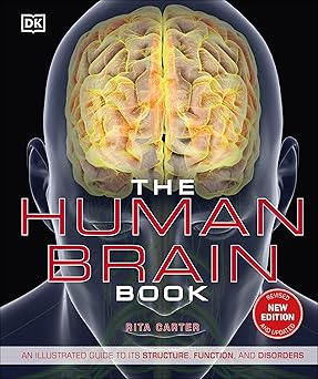 The human brain book : an illustrated guide to its structure, function, and disorders