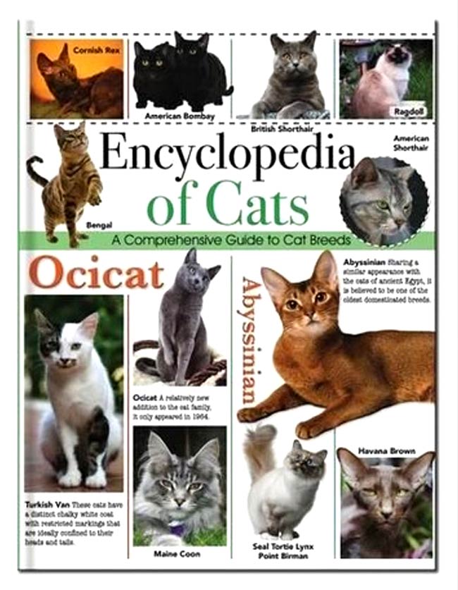 Encyclopedia of Cats : A Comprehensive Guide to Cat Breeds