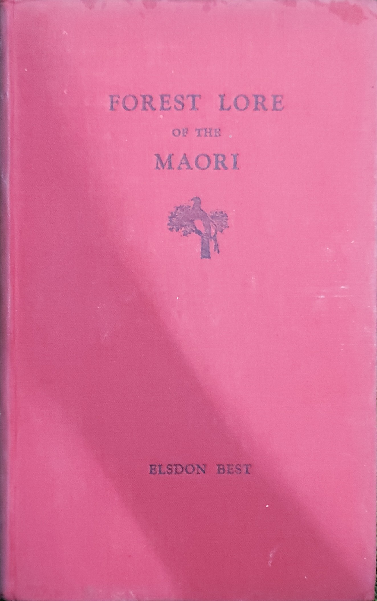 Forest lore of the Maori