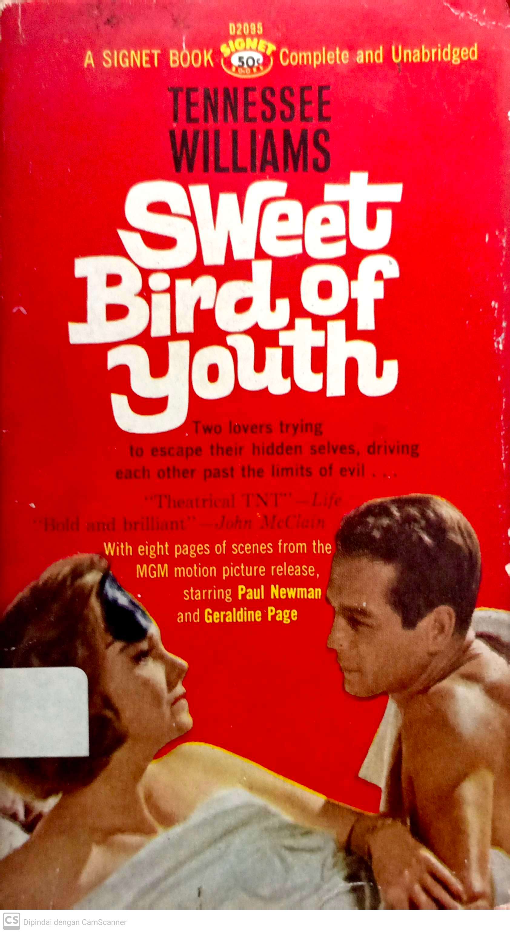 Sweet bird of youth