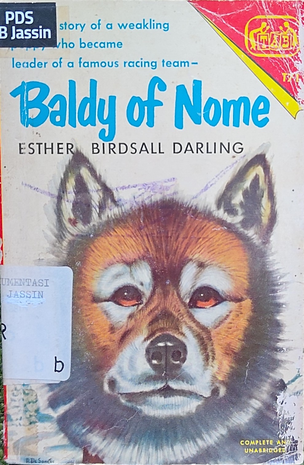 Baldy of nome