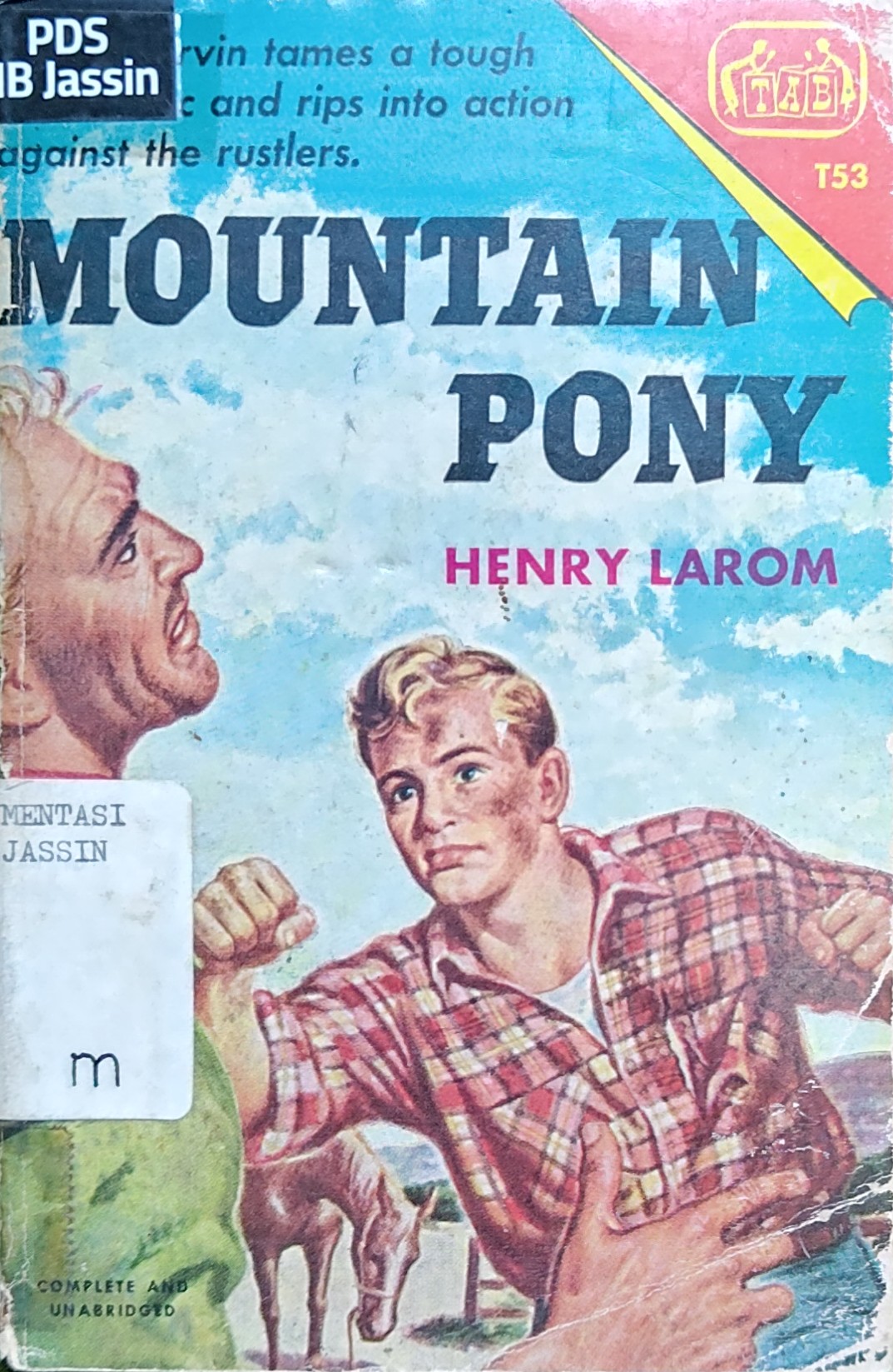 Mountain Pony