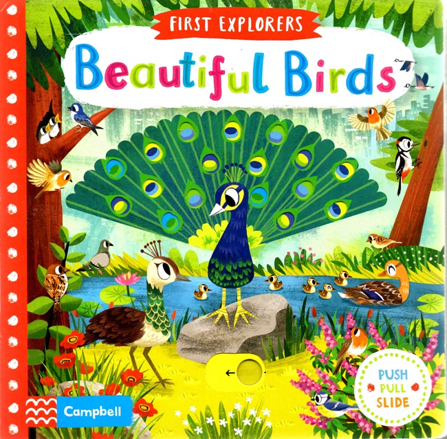 Beautiful Birds