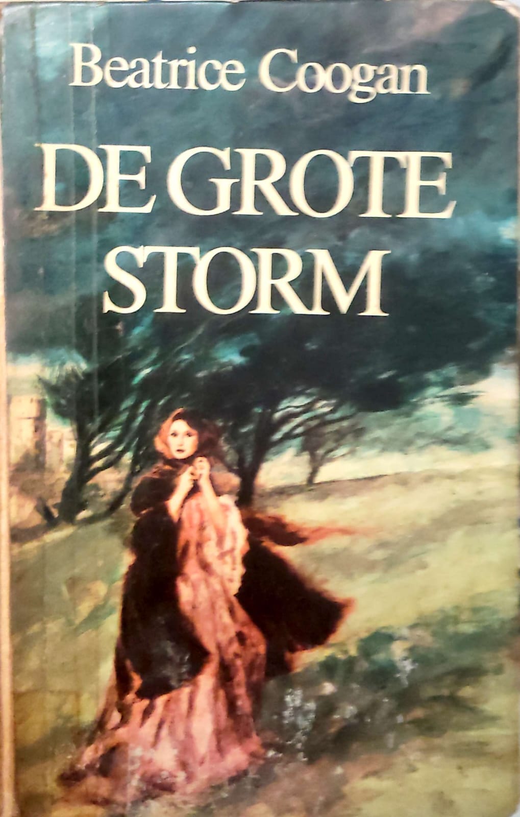 De Grote Storm