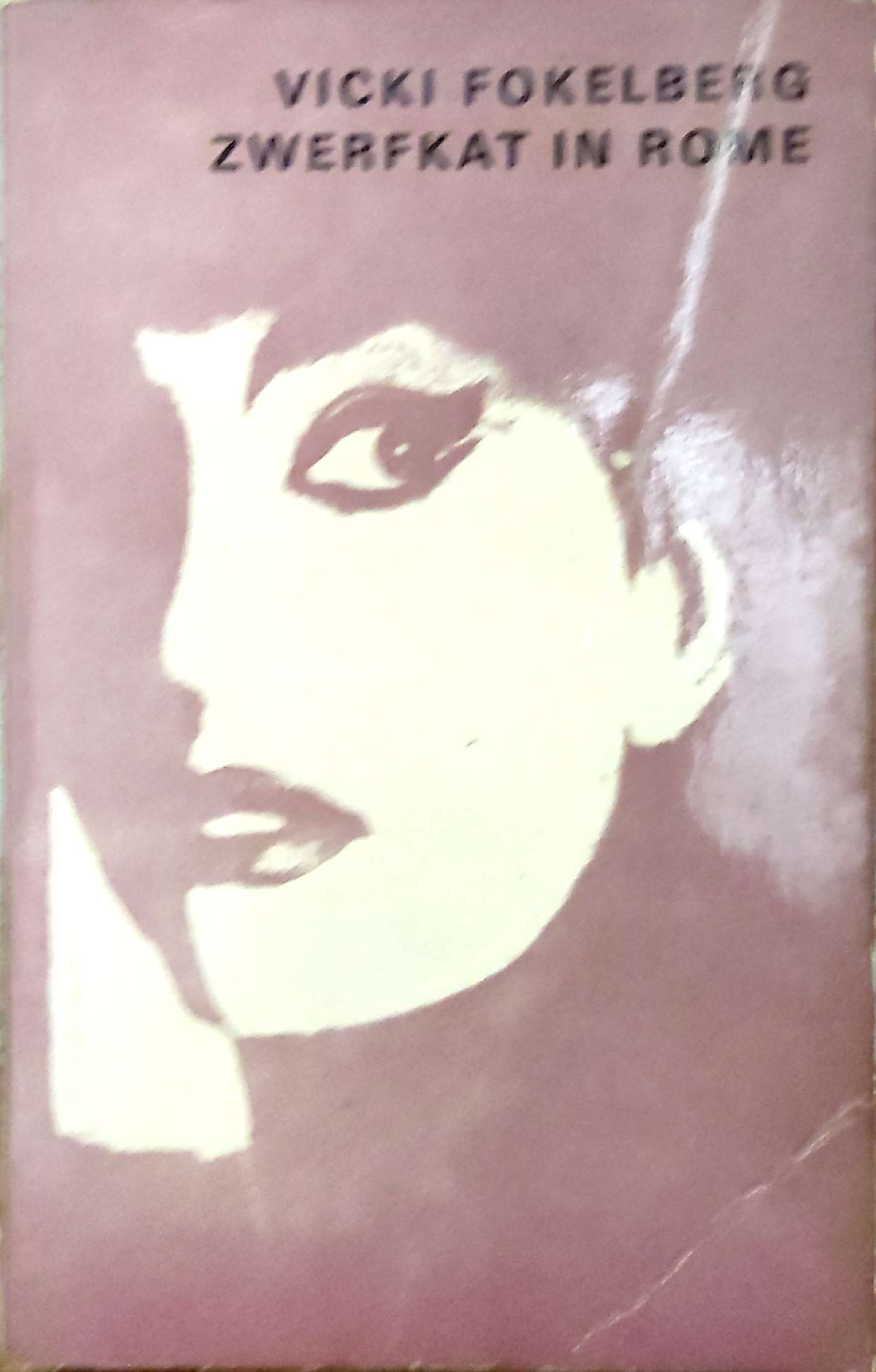 Zwerfkat In Rome / Vicki Fokelberg