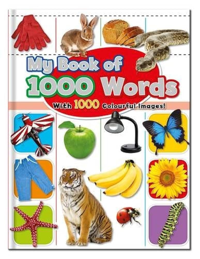 My book of 1000 words : with 1000 colourful image