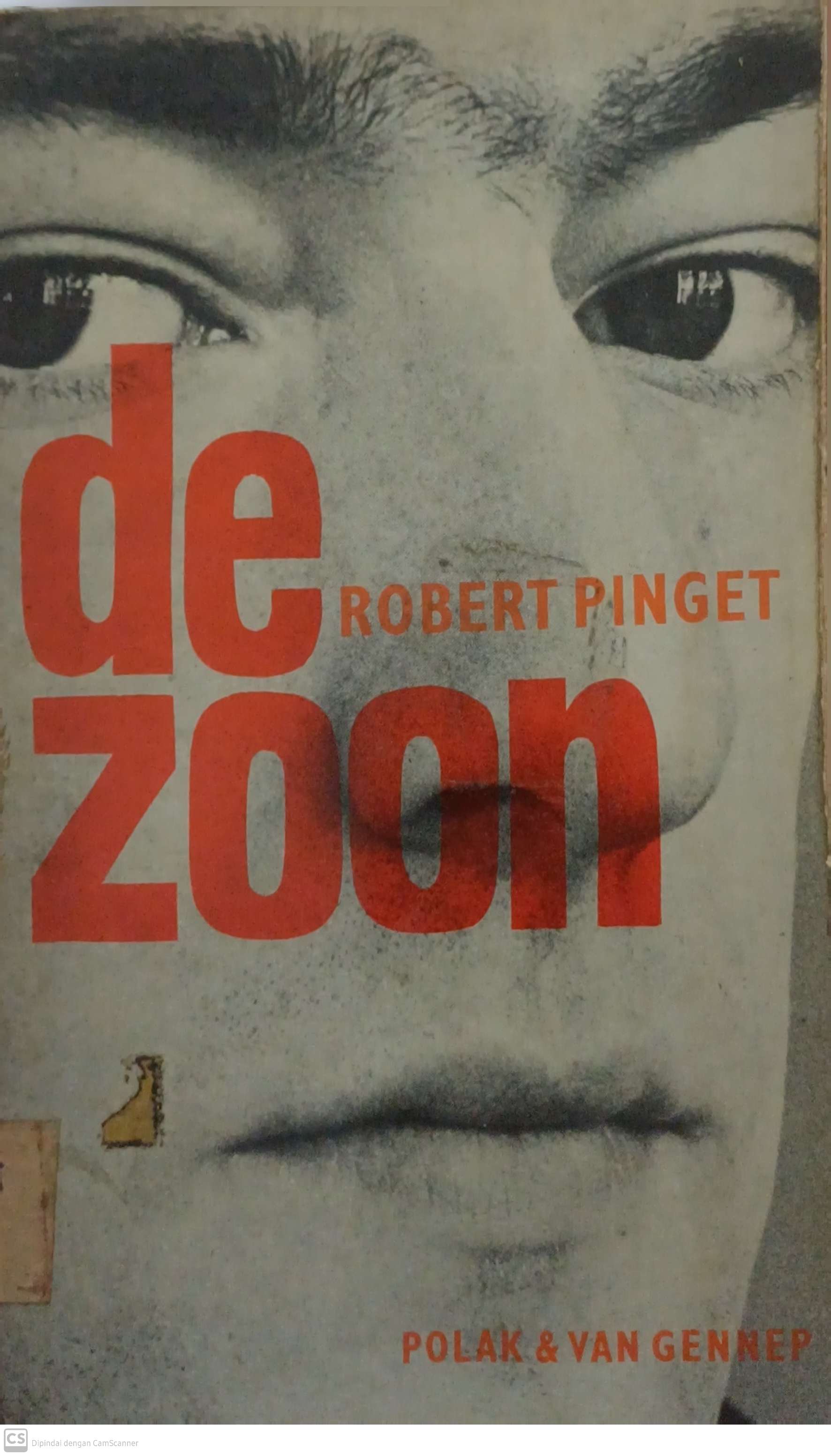 De zoon