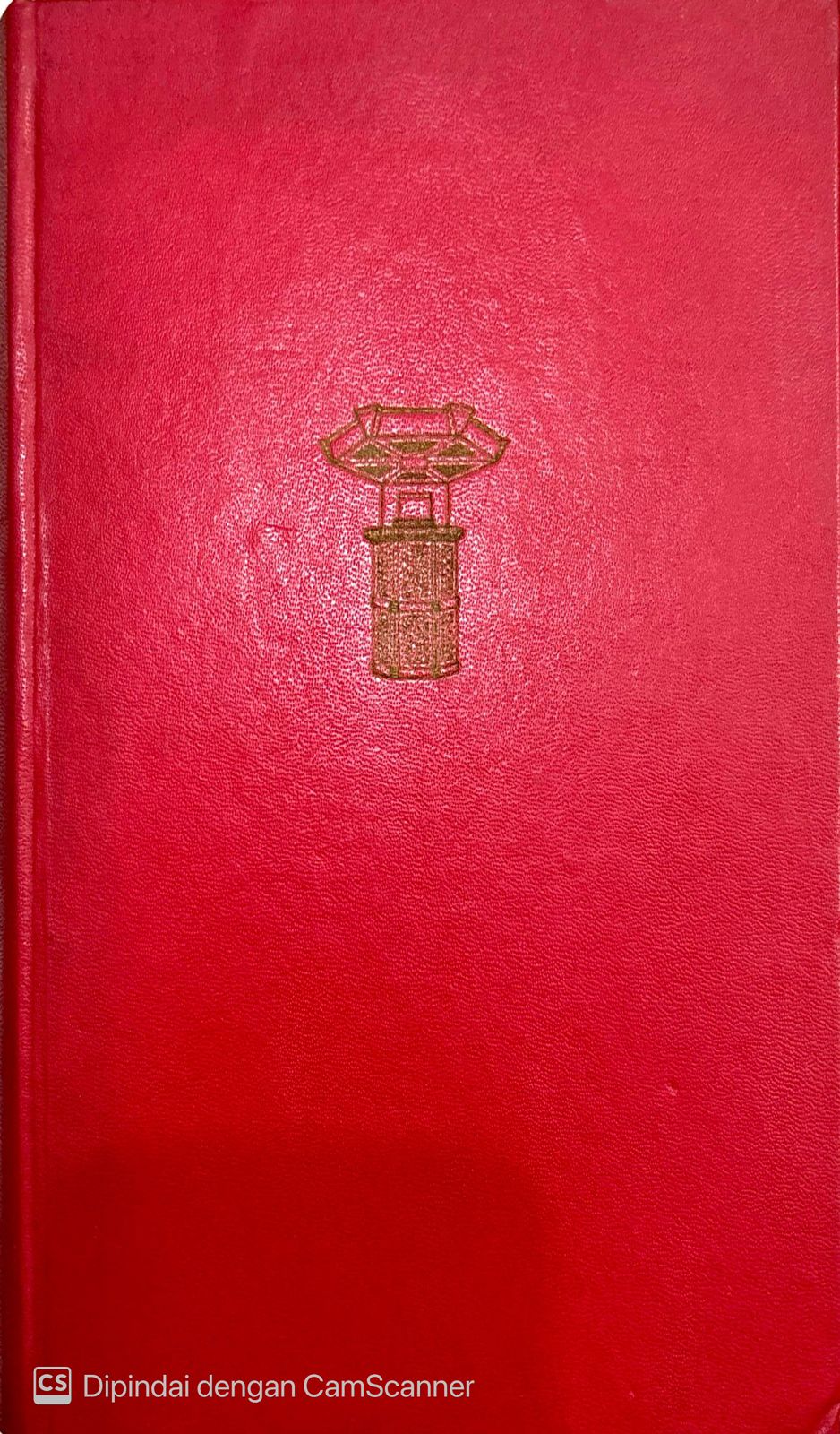 De zoon