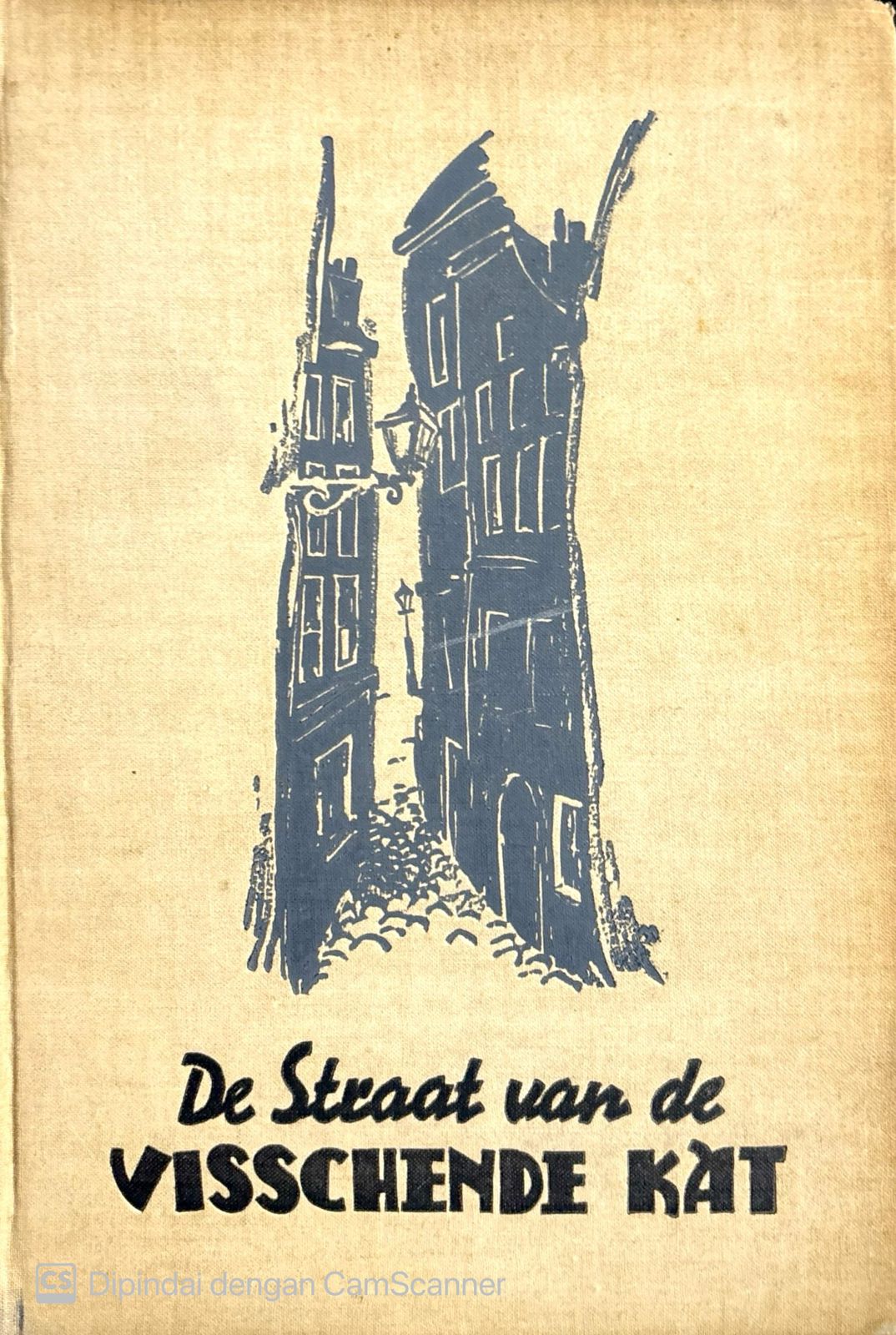 De straat van de visschende kat