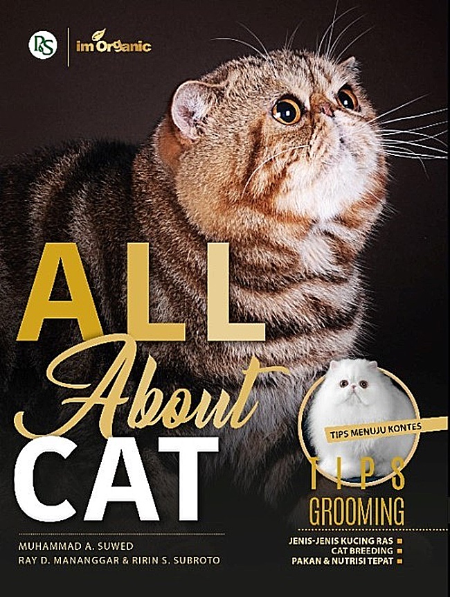All about cat