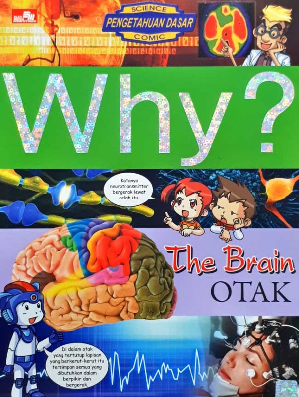 Why? The Brain - Otak
