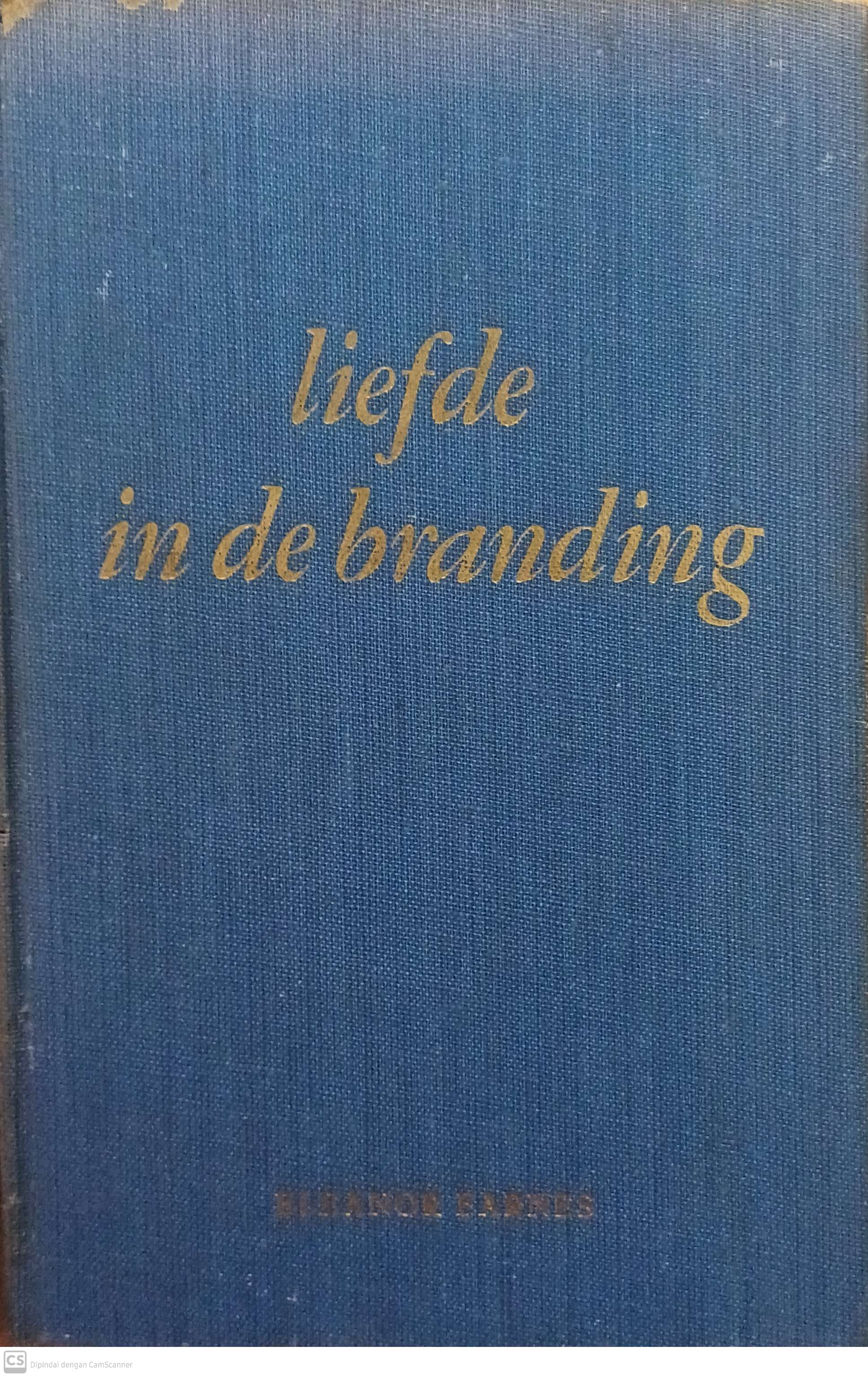 Liefde en de branding / Eleanor Farnes
