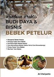 Panduan praktis budi daya & bisnis bebek petelur