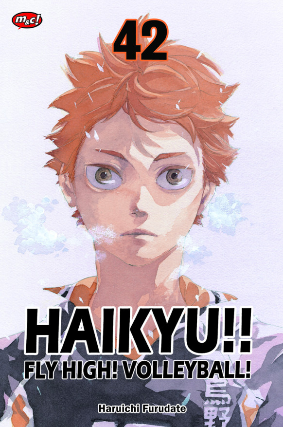 Haikyu!! : fly high! volleyball! vol. 42