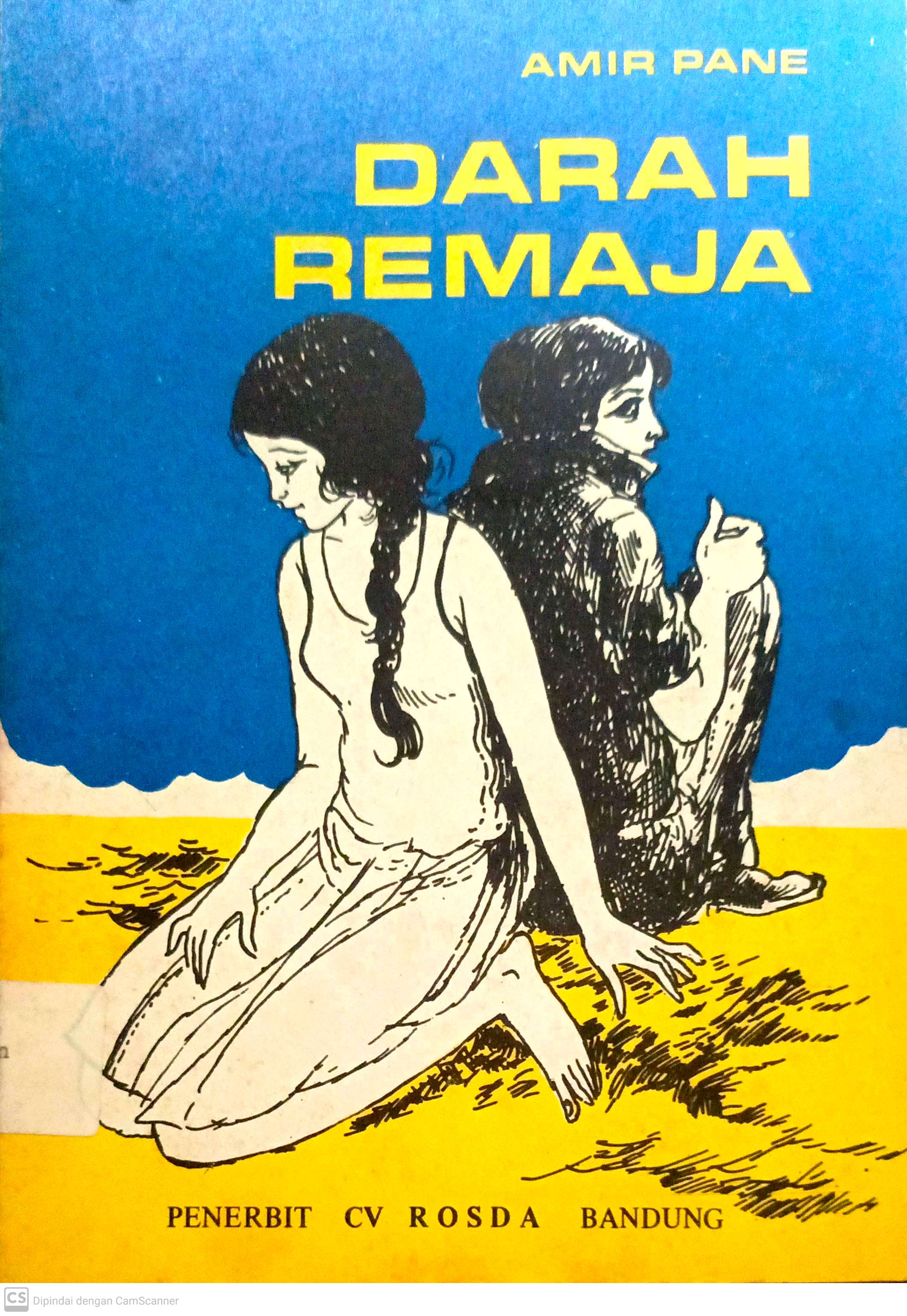 Darah remaja / Amir Pane