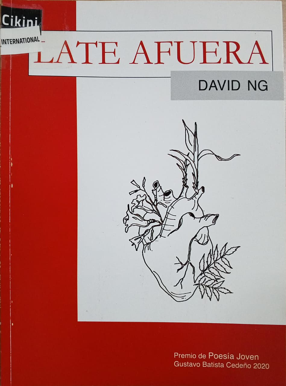 Late afuera / David Ng