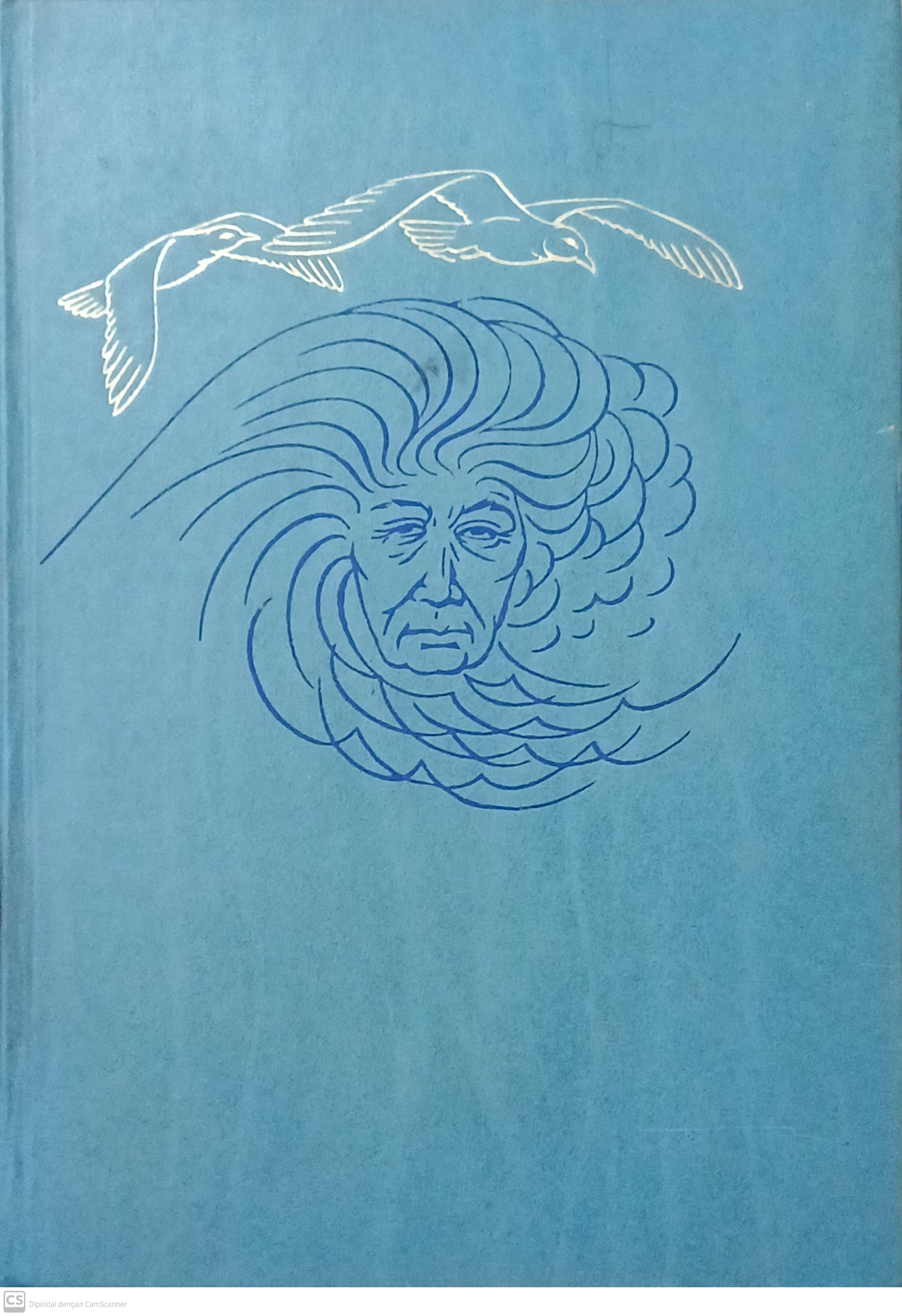 Stemmen over de horizon / Kathinka Lannoy