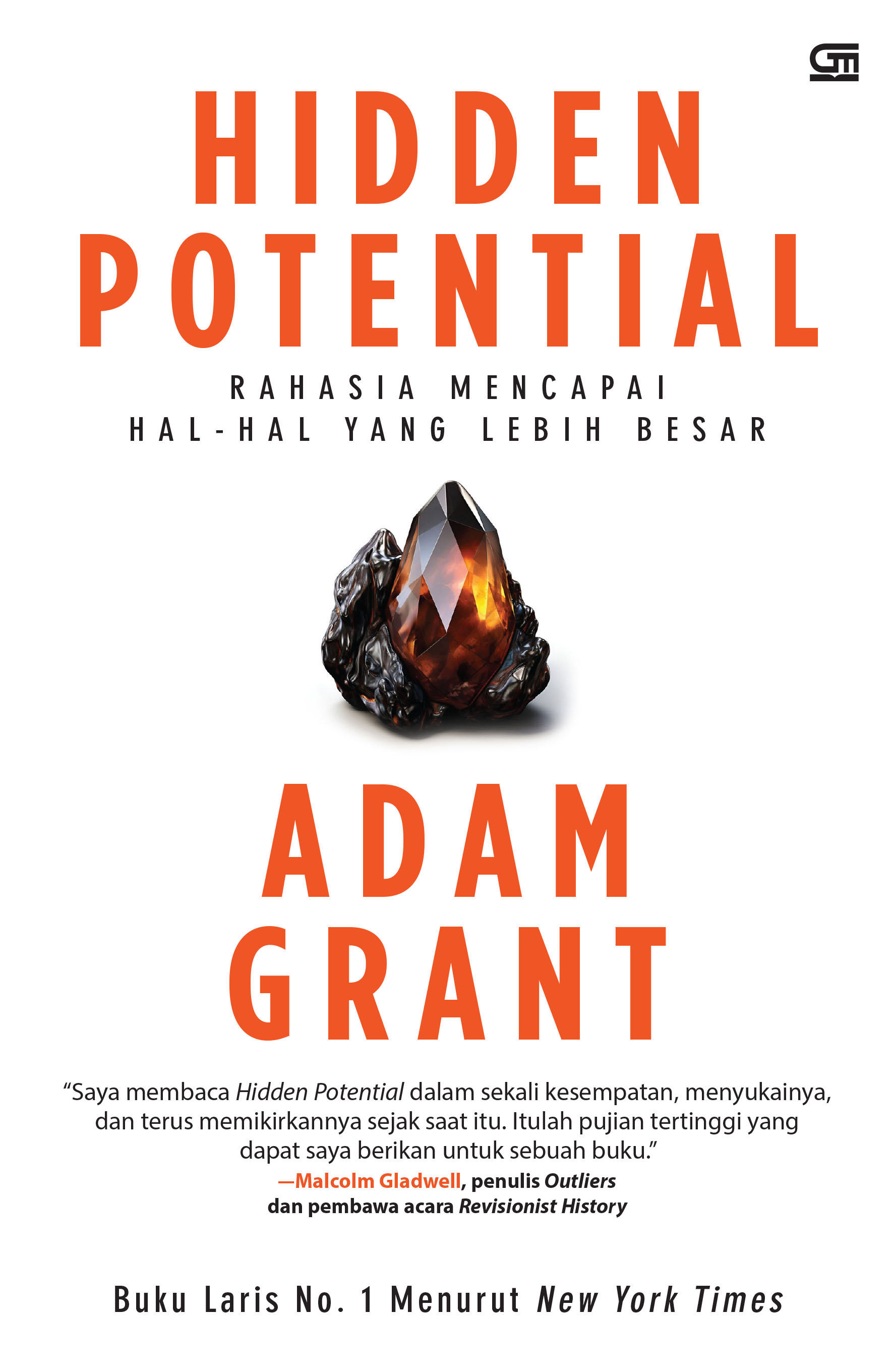 Hidden potential : rahasia mencapai hal-hal yang lebih besar
