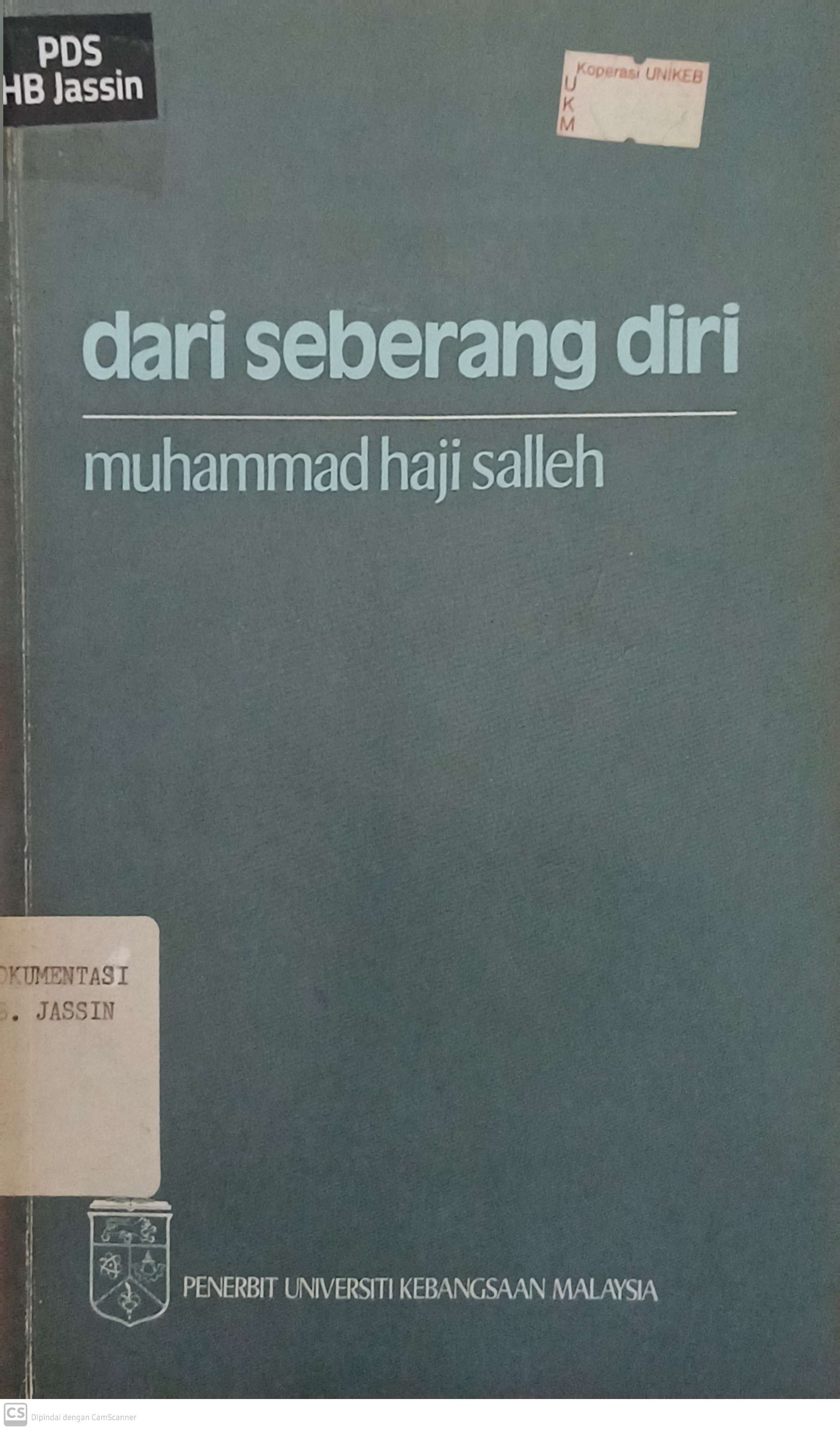 Dari seberang diri