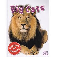 Big Cats: Questions and Answers