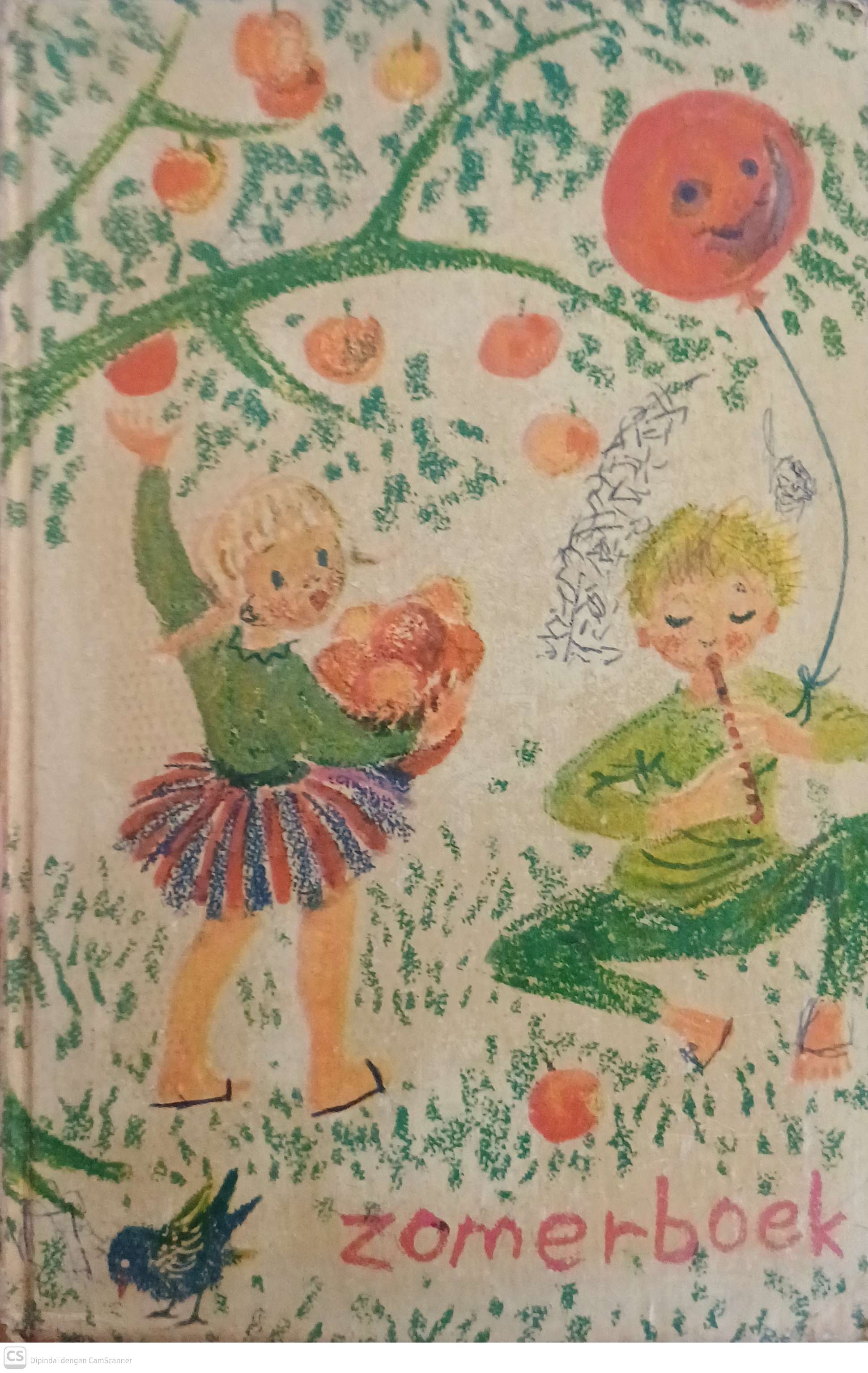 Zomerboek / Tom Hulsebosch