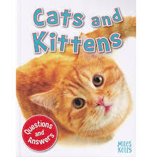 Cats and Kittens : Questions and Answers