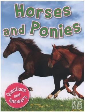 Horses and Ponies :  Questions and Answers