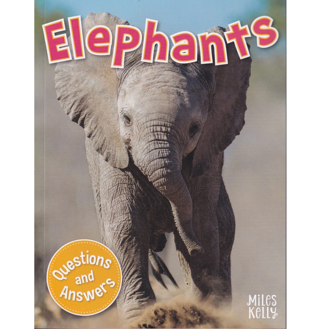 Elephants : Questions and Answers