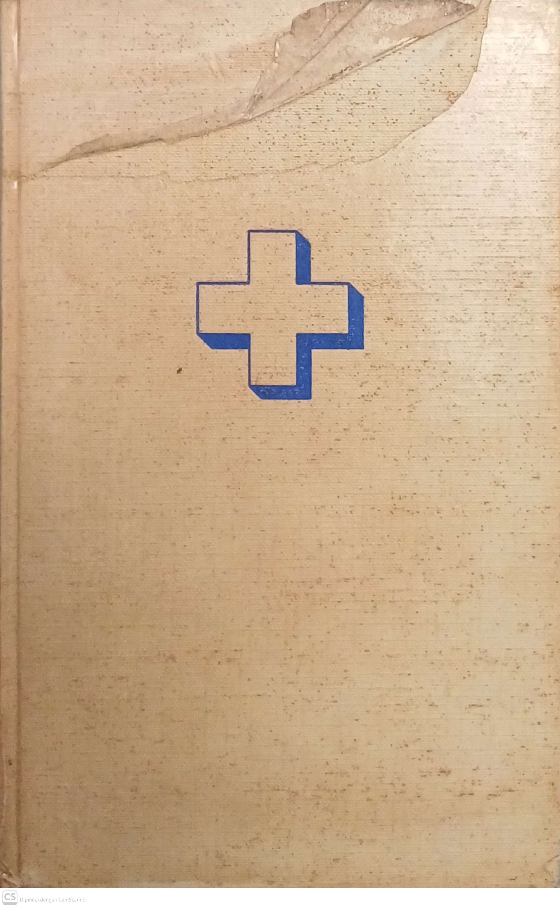 Zuster Gon in Londen / Inger Austveg