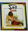 Feelings Sad : Sedih