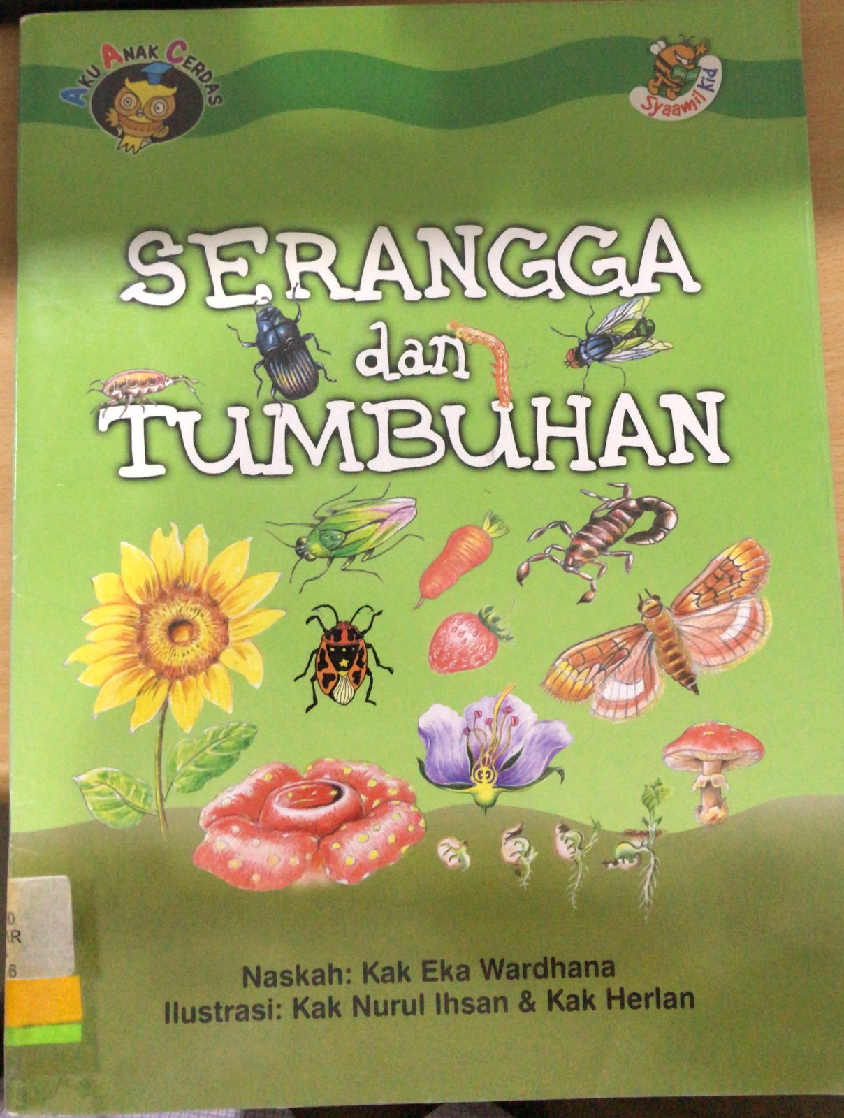 Serangga dan Tumbuhan