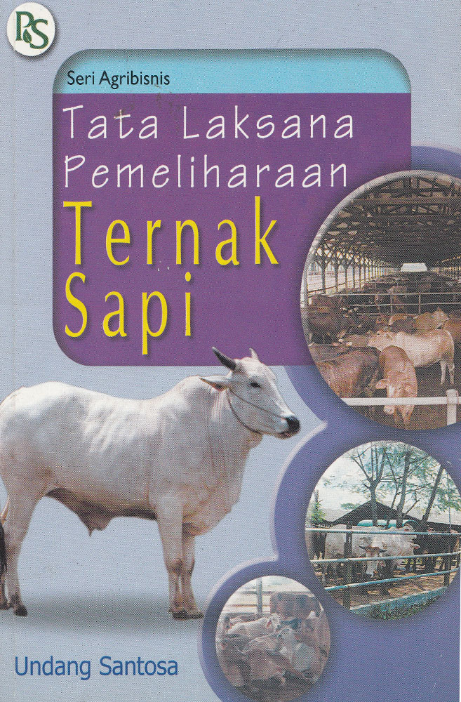 Tata Laksana Pemeliharaan Ternak Sapi