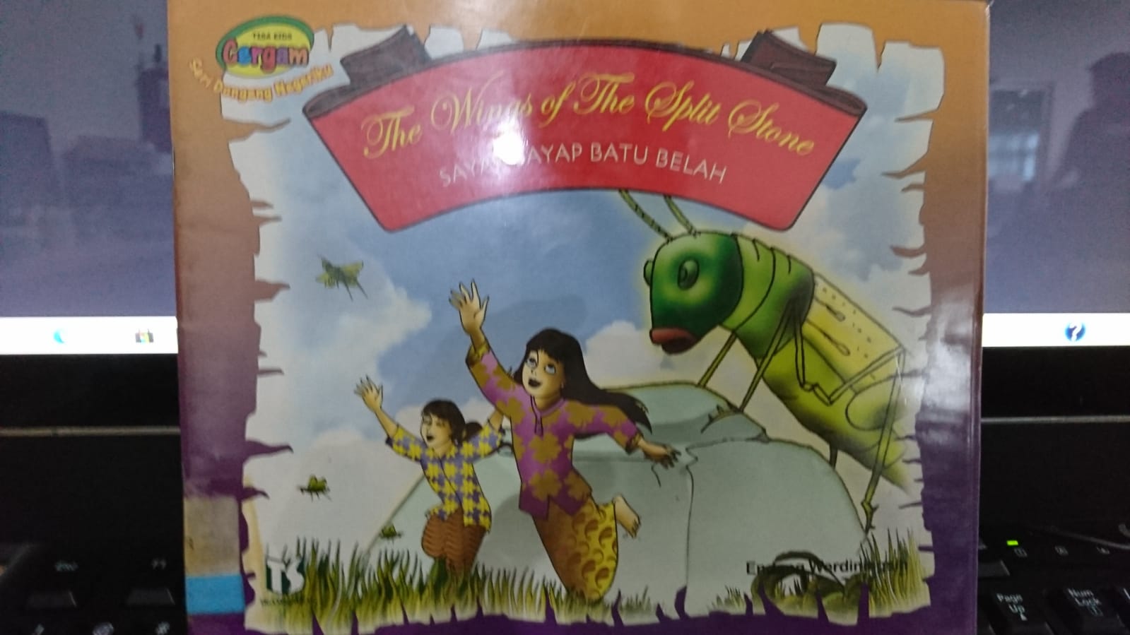 The Wings of the Split Stone = Sayap-sayap Batu Belah / Endang Werdiningsih
